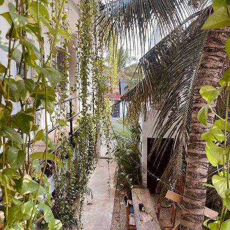 Anana Coliving Playa del Carmen Exterior foto