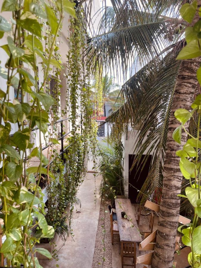 Anana Coliving Playa del Carmen Exterior foto