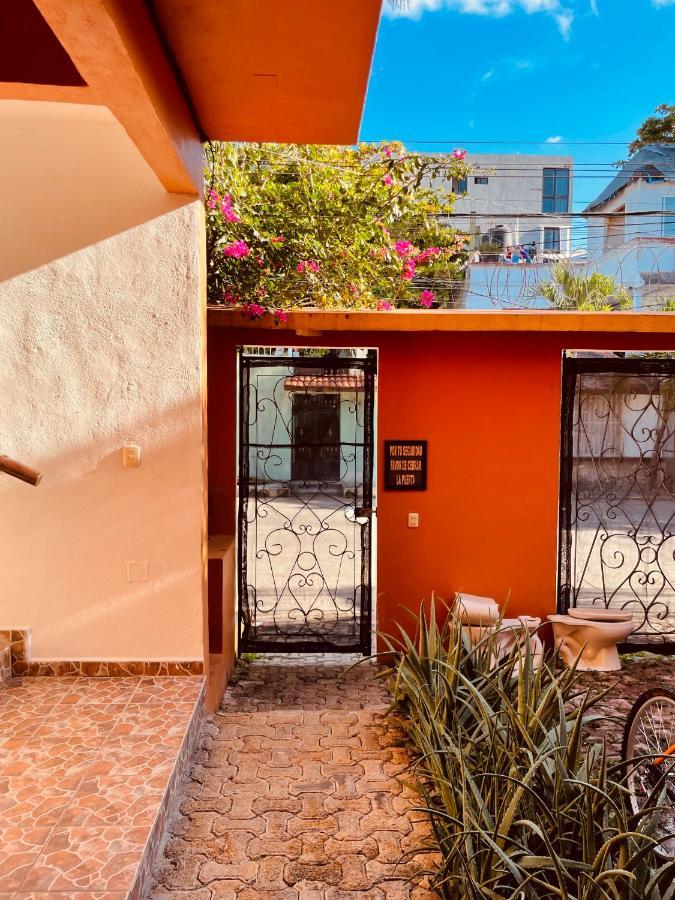 Anana Coliving Playa del Carmen Exterior foto