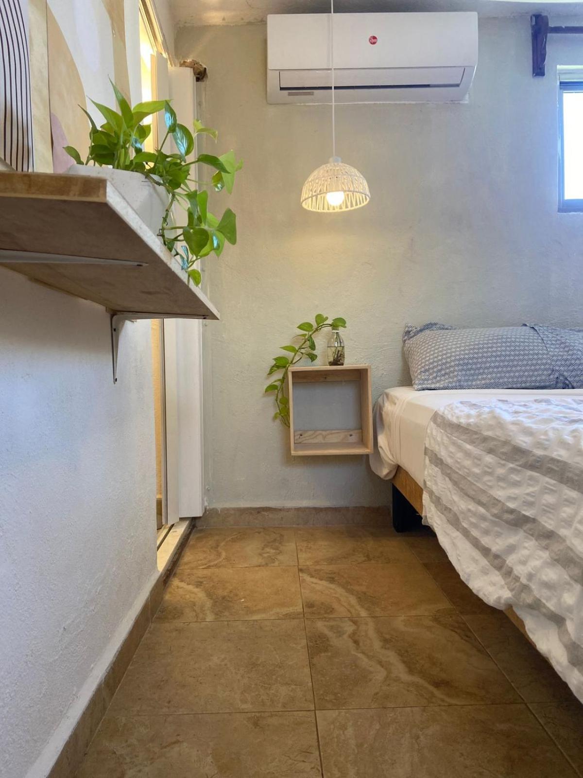 Anana Coliving Playa del Carmen Exterior foto