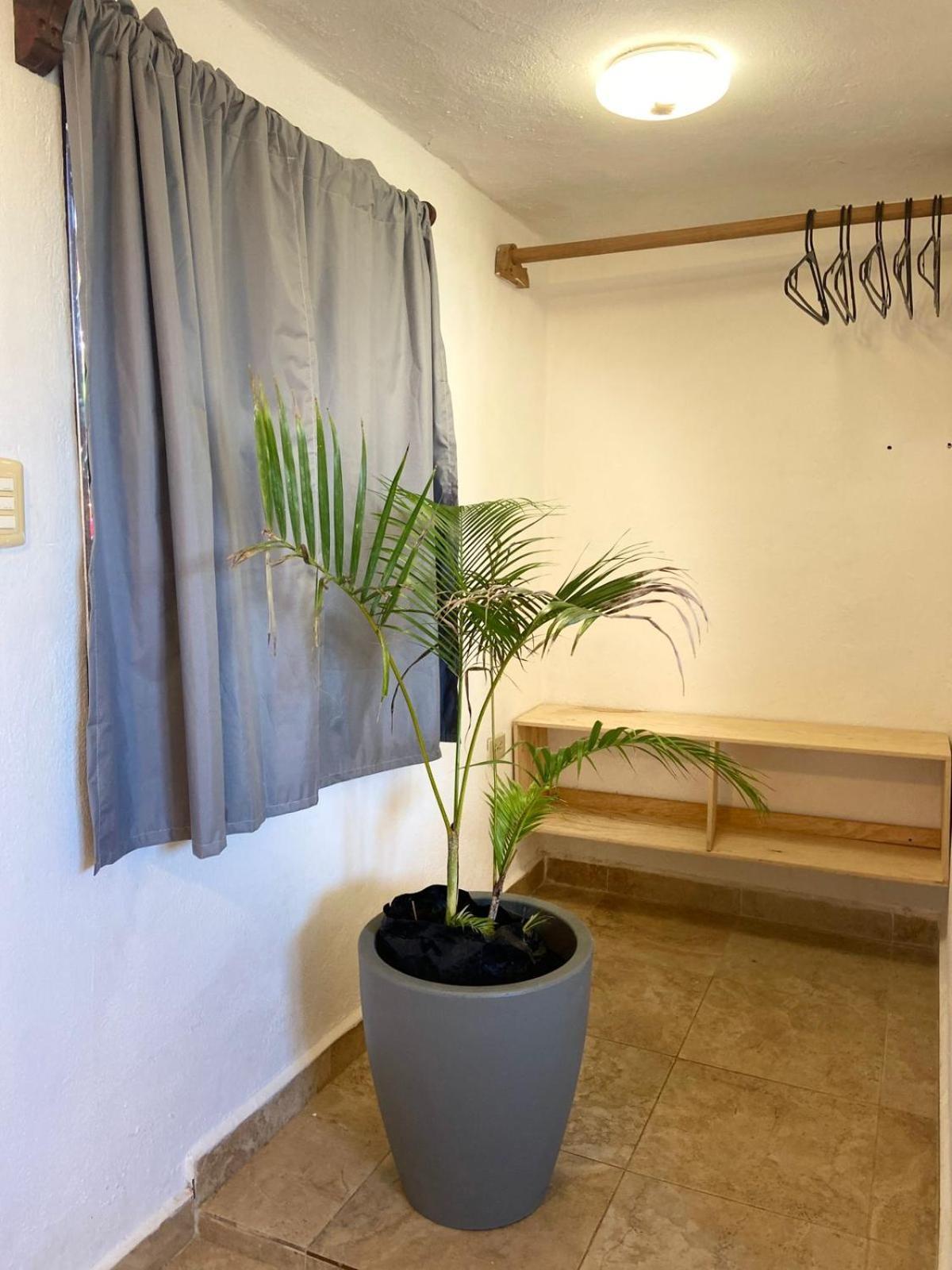 Anana Coliving Playa del Carmen Exterior foto