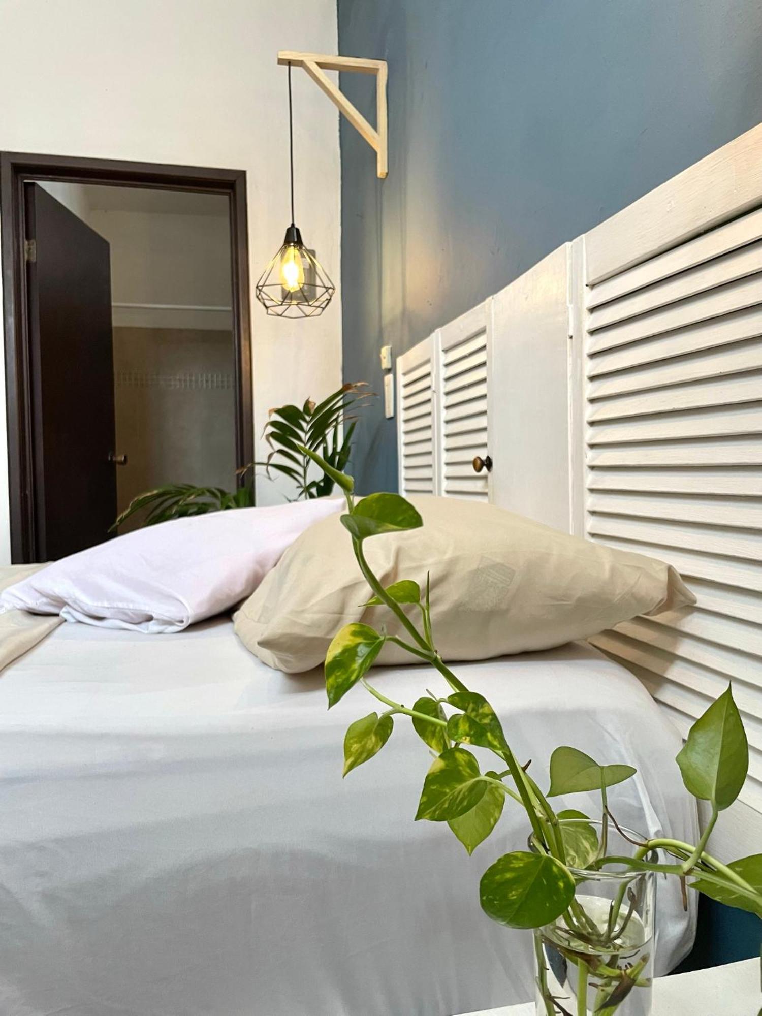 Anana Coliving Playa del Carmen Exterior foto